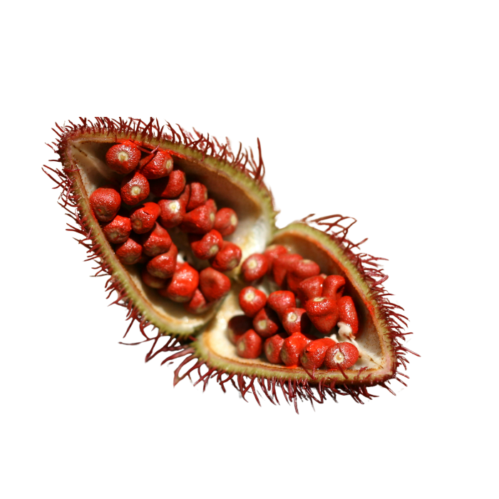 Annatto Seeds