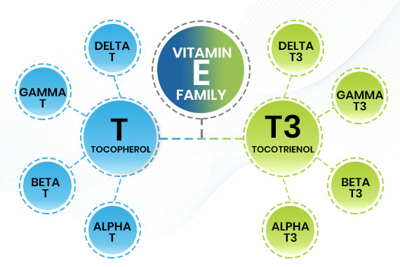 Vitamin E Family - Tocopherols (T) & Tocotrienol (T3)