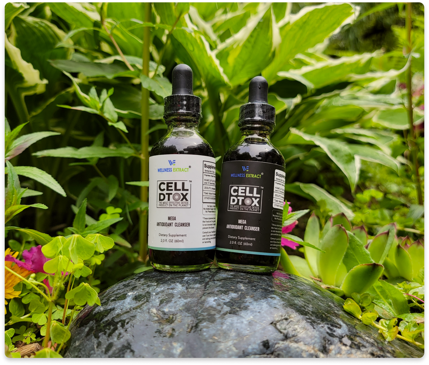 Cell Detox Humic & Fulvic Acid and Zeolite