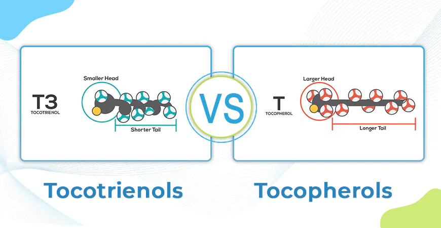 Tocotrienols VS. Tocopherols