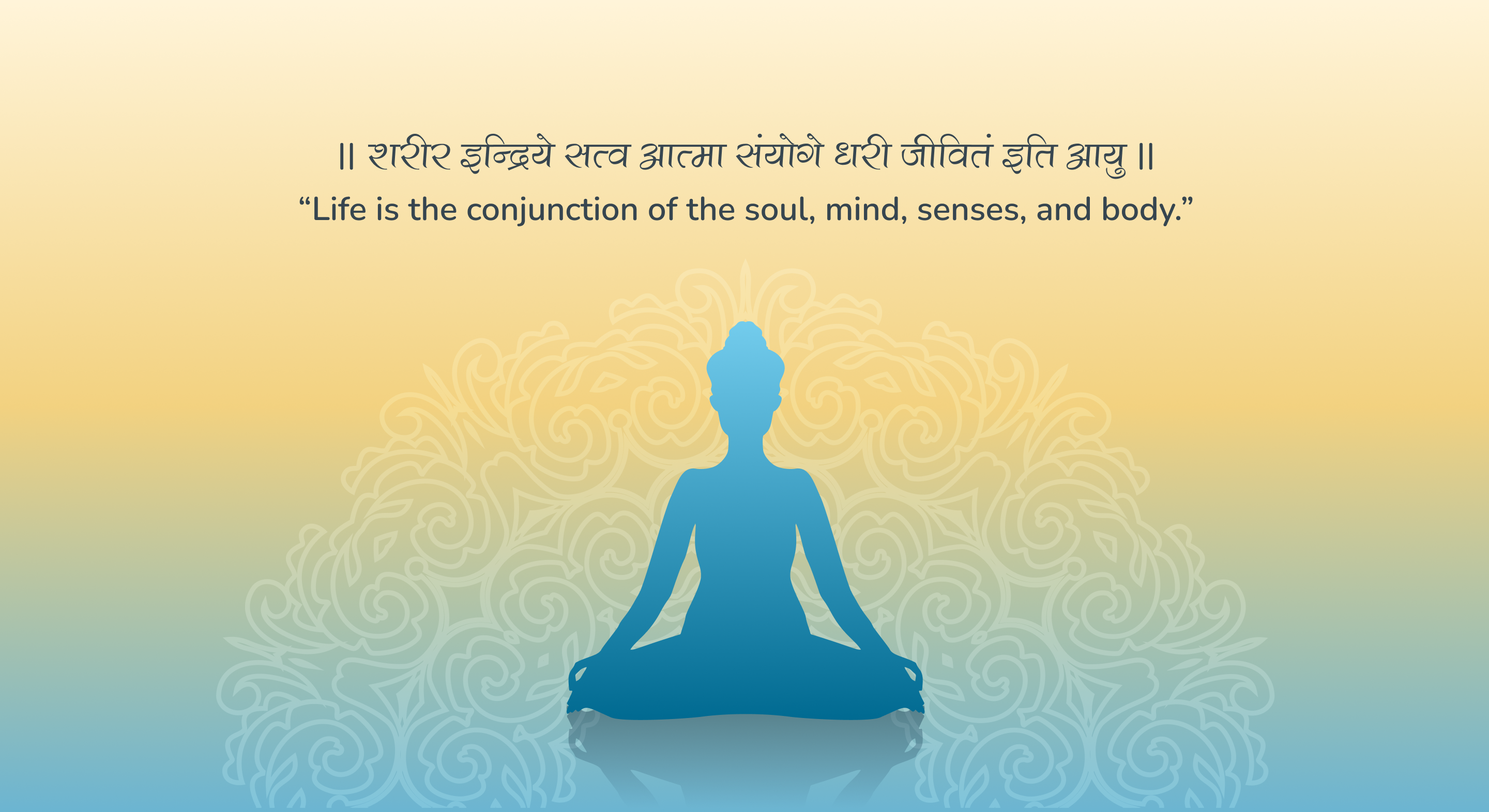 wellness vedas