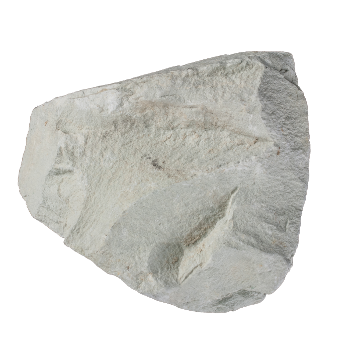 Zeolite (Clinoptilolite)